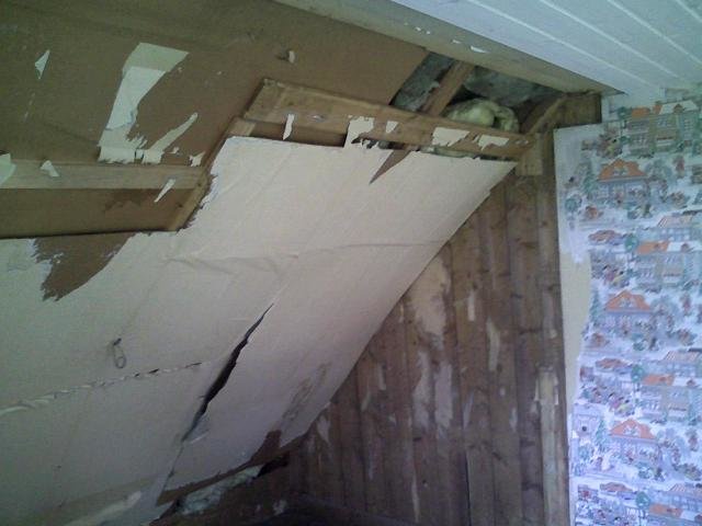 PIC-0097.jpg