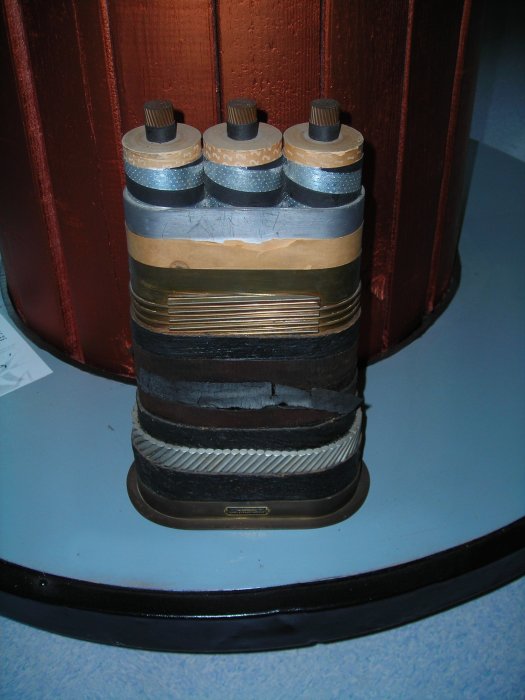 DSCN0239.jpg