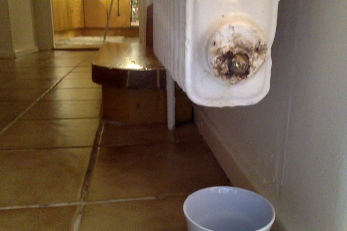 Bild 21-02-16 kl. 19.43.jpg