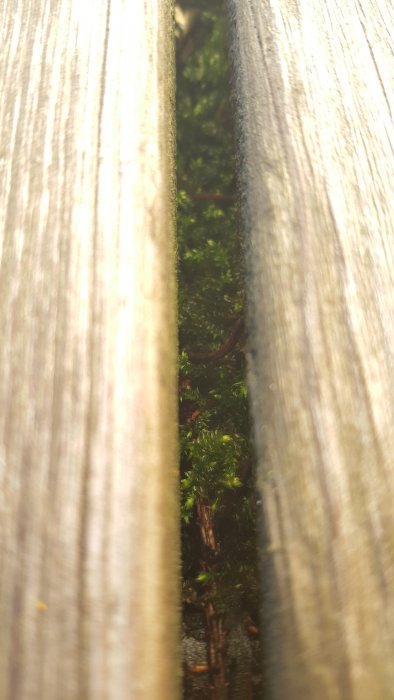 20160223_142625.jpg