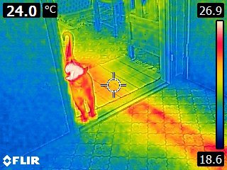 FLIR0404.jpg