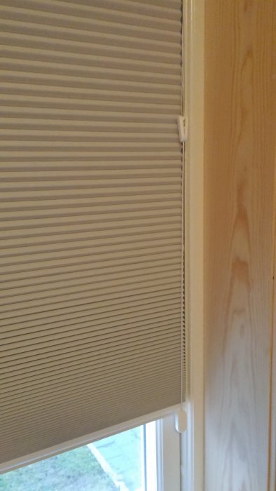 2016-03-27 19.25.56.jpg