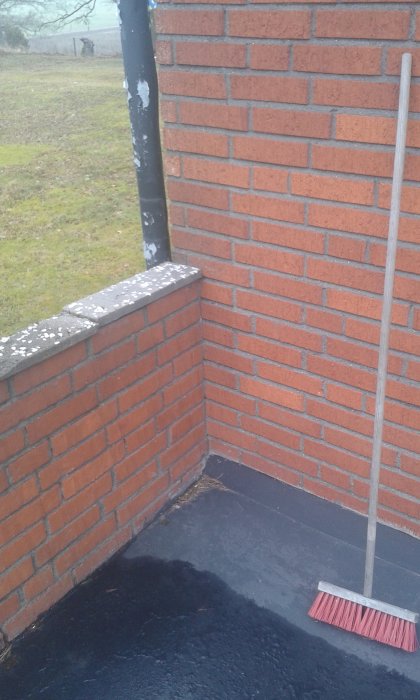20160405_104934.jpg