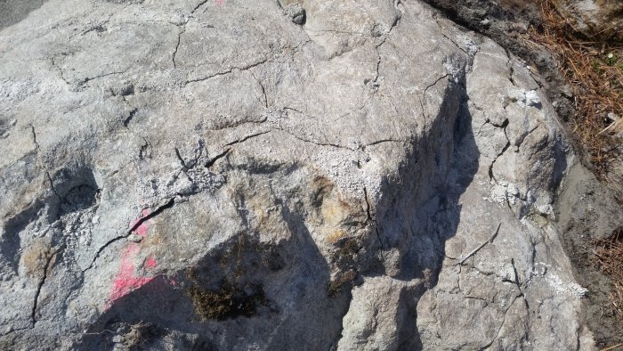 20160410_163718.jpg