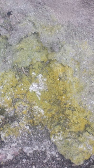 20160417_095416.jpg