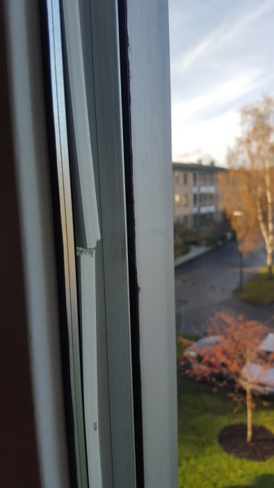 20160422_072117.jpg