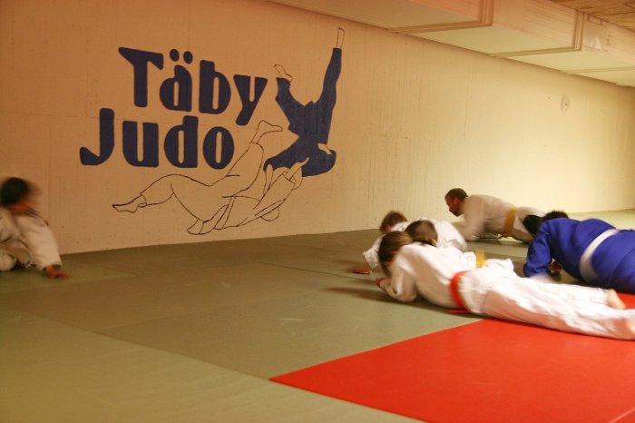 Familje Judo Täby Judo ventilation.png