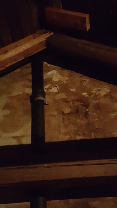 JPEG_20160514_204957_1261768236.jpg