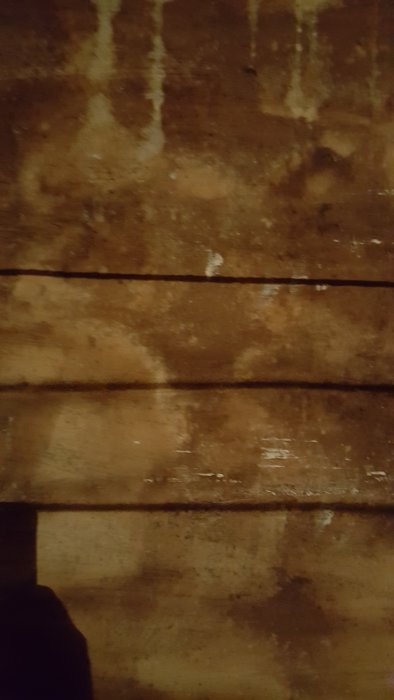 JPEG_20160514_213409_-2057691844.jpg