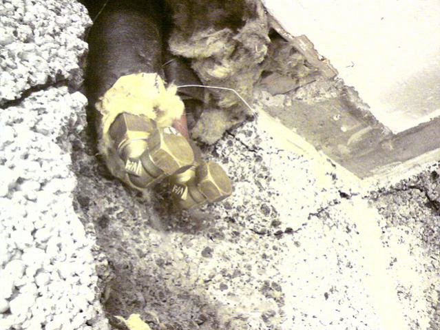 DSC00475.jpg