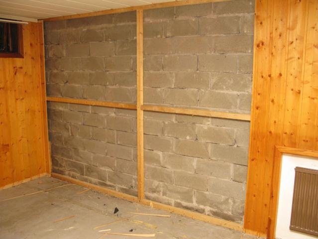 bodega_reglar.jpg