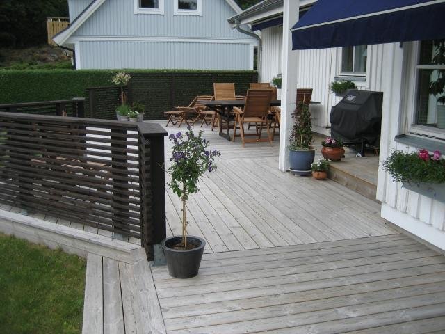 Rådjur juni -08 007.jpg