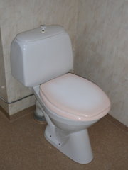 3295.jpg