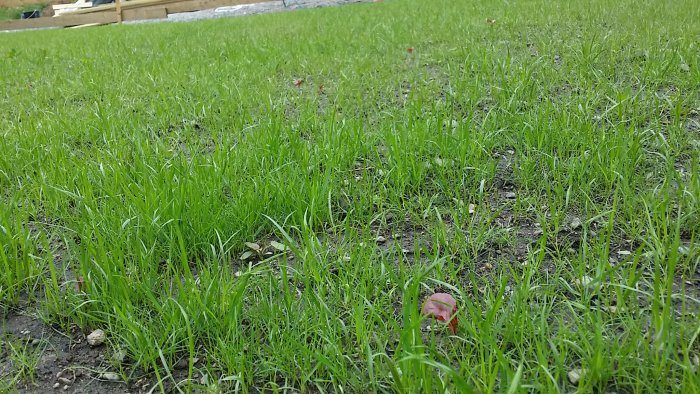 20160619_111925.jpg