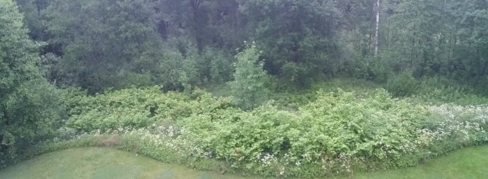 2016-07-02 07.11.55.jpg