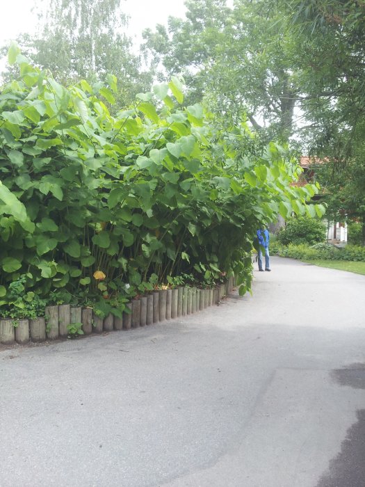 20160703_113850.jpg