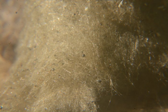 DSC_1544.jpg