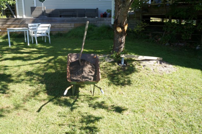 En skottkärra med jord, en spade, nedsågade grenar och en betongplint på en gräsmatta vid ett körsbärsträd.