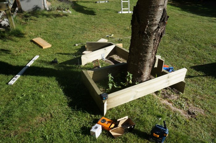 Bygge av bänk runt träd med varierande djup, tryckimpregnerade reglar och lådor med skruvar på gräsmatta.