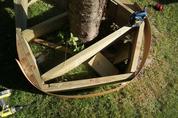 Konstruktion med böjda masonitremsor och reglar som fästs för att skapa njurformad design runt träd på gräsmatta.