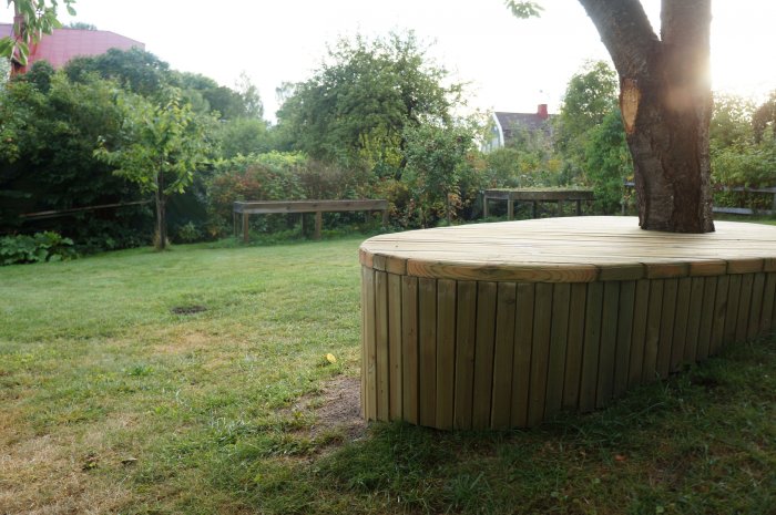 Trädgård med träd och bänkar, trädeck integrerat runt trädstam, grönt gräs, lantlig atmosfär, dagsljus, varmt väder.