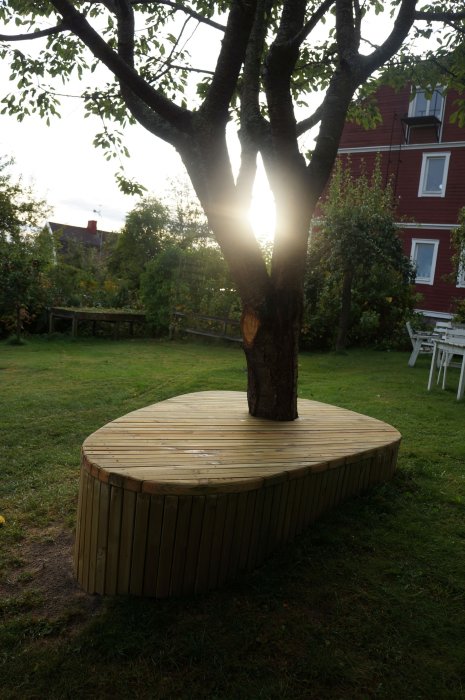 Rund träplattform runt ett träd i en trädgård med solljus som skiner genom grenarna.