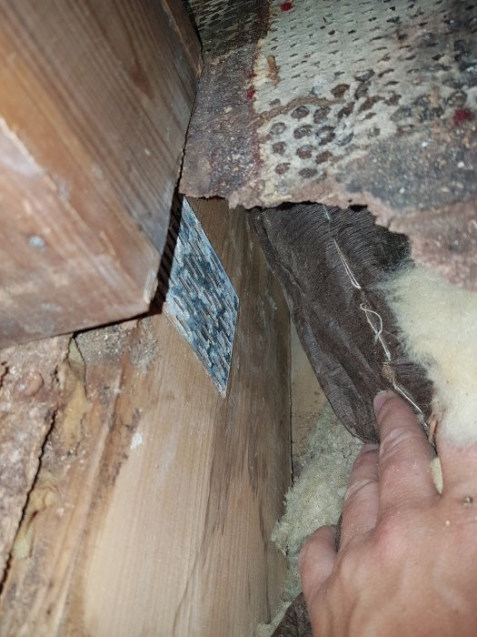 En hand som bänder på skadade spånskivor med mögel vid en gammal kaminplats, med gammal isolering synlig under.