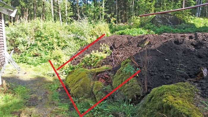 Vildvuxen slänt med höjdskillnad markerad av röda linjer, ormbunkar och buskvegetation i en trädgård.