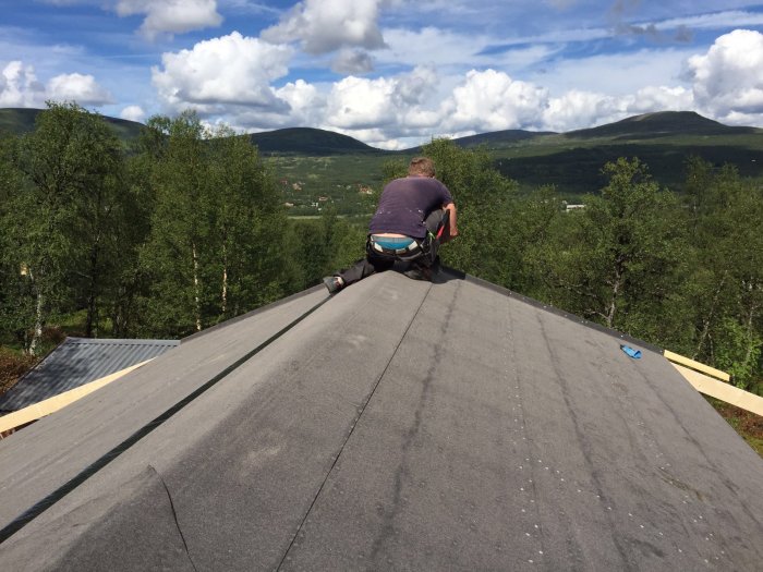 Person som arbetar på tak med osynligt landskap och träd i bakgrunden.