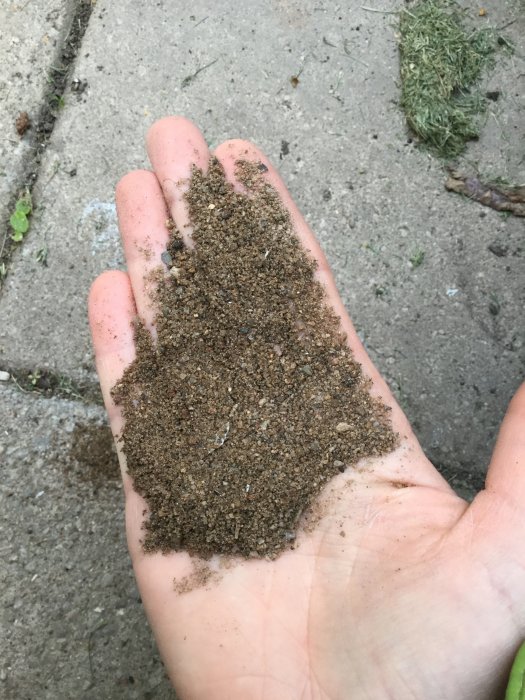 En hand som håller rödaktigt sättgrus som används för plattsättning runt rabatter.