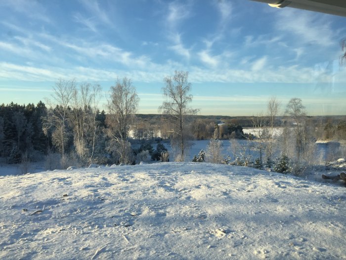 Vinterlandskap med snötäckt mark och träd, och blå himmel. Lämplig för en framtida poolplats.