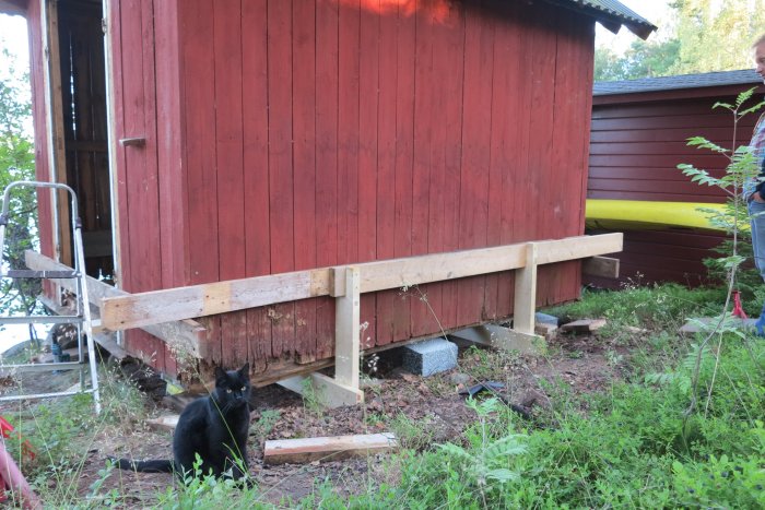 Renoverad bod med temporär ställning och gammal panel, omgiven av grönska och en svart katt framför.