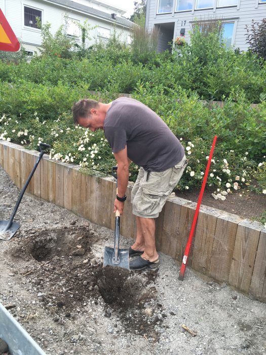 Man gräver upp jord nära en blomstrande rabatt för att förbereda läggning av kullersten.