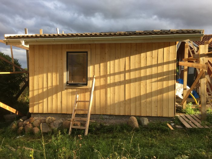 Obehandlad träpanel på en byggnads norrsida med ett fönster och en stege lutad mot väggen.