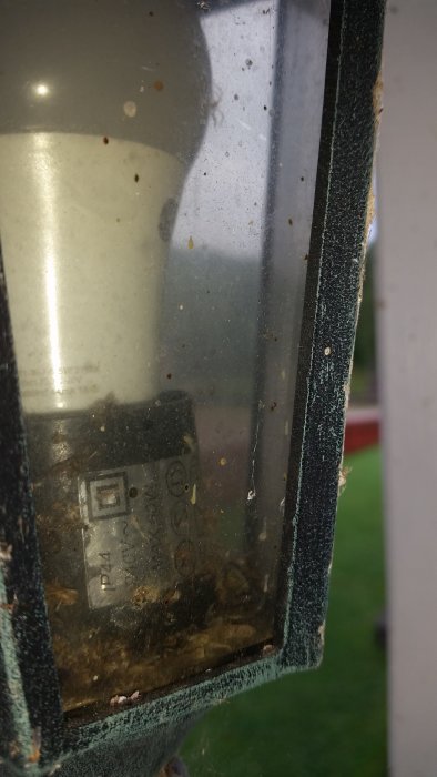 Gammal utomhuslampa med smutsig kupol och synlig stickpropp.