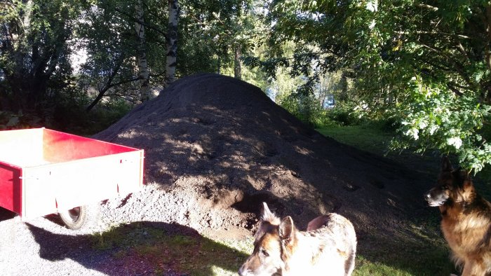 En stor hög med matjord bredvid en röd släpvagn och två hundar i förgrunden.