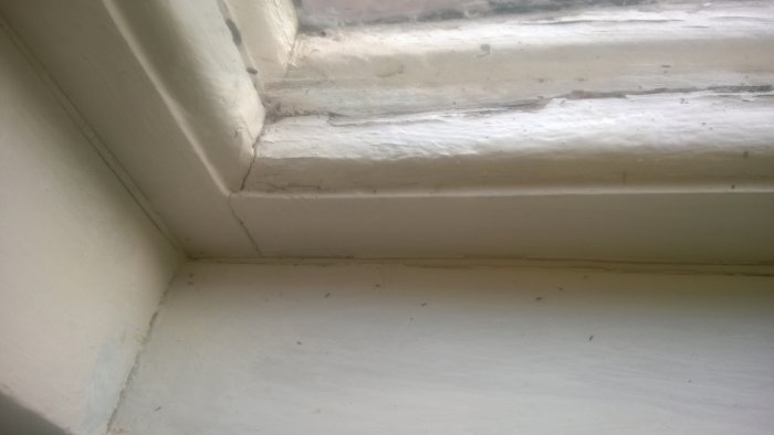 Närbild på en fönsterkarm med distinkta fräsprofiler och sprickor i färglagret.