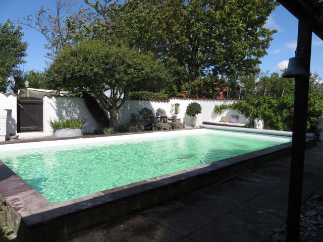 Swimmingpool med grönaktigt vatten omgiven av vita väggar, stenplattor och grönska under en klarblå himmel.