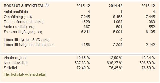 Tabell över företagets bokslut och nyckeltal för åren 2013-2015, inklusive anställda och finansiella resultat.