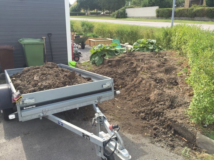 Släpvagn full av jord framför grävd rabatt bredvid en nyplanterad häck.