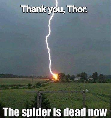 Blixtnedslag på ett fält med texten "Thank you, Thor. The spider is dead now".