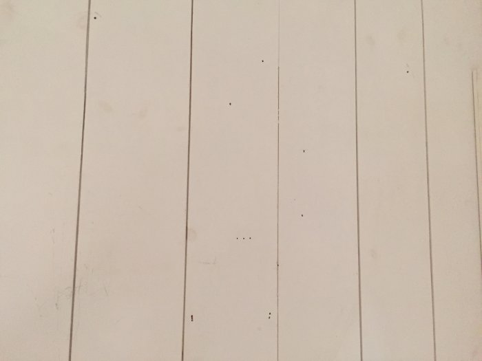 Vit panelvägg med synliga kvistar och flera små hål från skruvar och spikar.