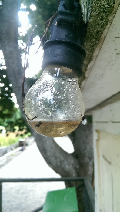 Glödlampa med kondensvatten, hängande utomhus med fukt i botten.