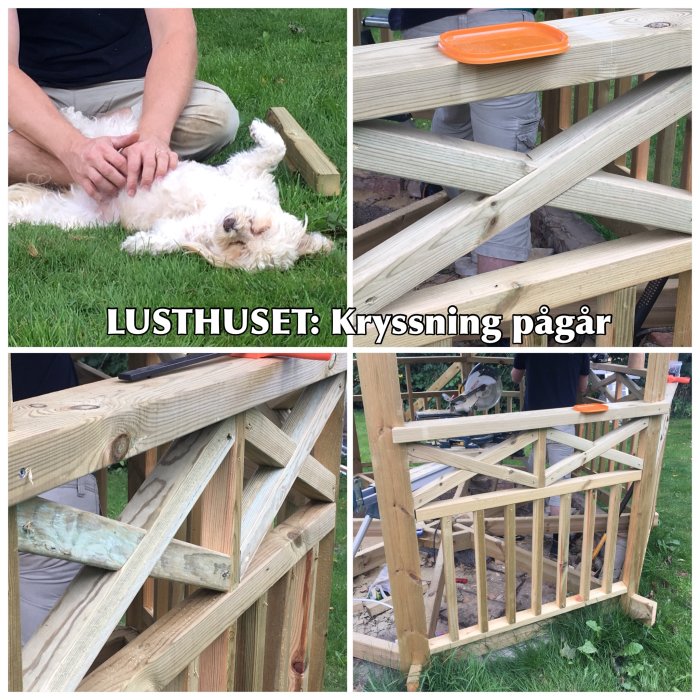 Montage av träkryss i räcke för lusthusprojekt och hund som vilar på gräset.