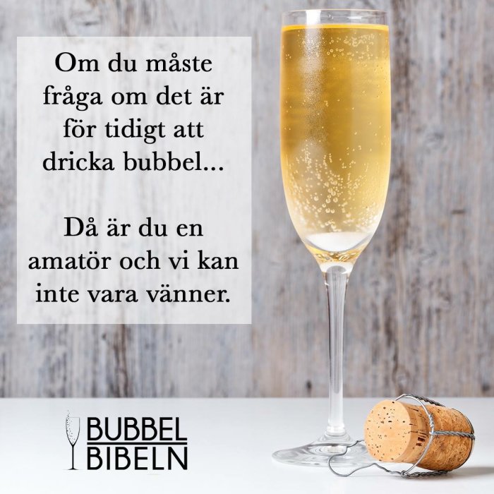 Skämtsam text om att dricka bubbel med ett glas champagne och en kork bredvid, med logotypen Bubbelbibeln.