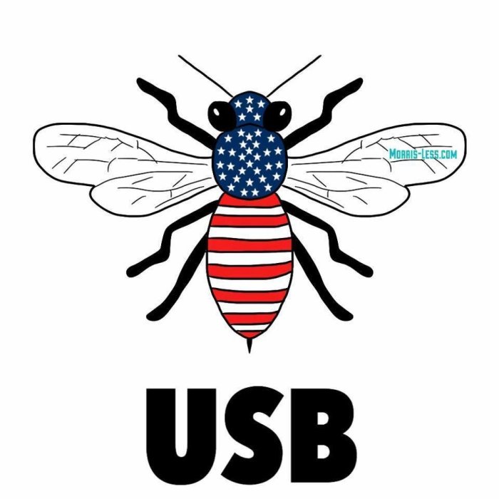 Illustration av en bi med USA-flaggans mönster på kroppen och texten "USB" nedanför.