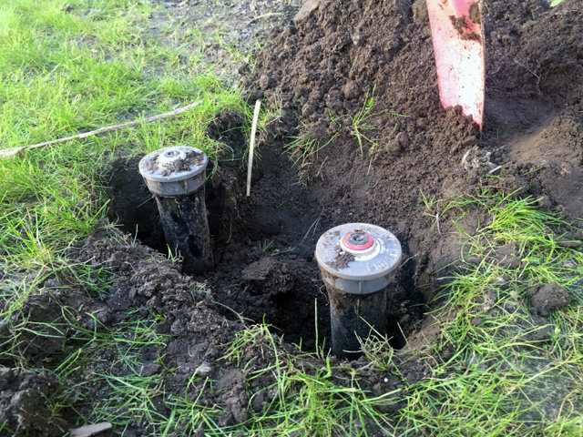 Gräsmatta med två delvis grävda och smutsiga sprinklerhuvuden nära en jordhög.