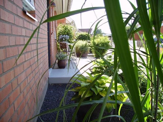Juli 2008 123.jpg