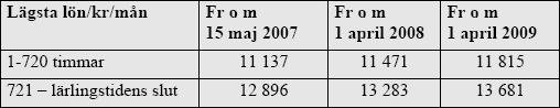 lärlingslön.JPG