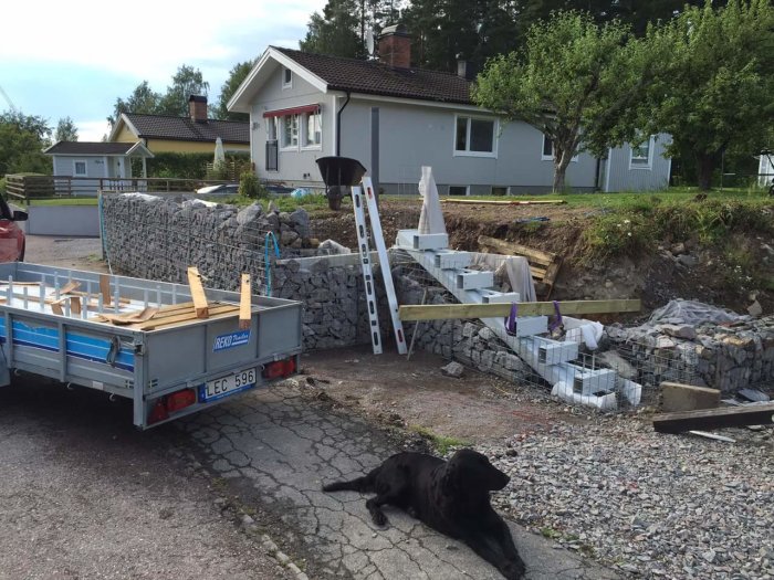 Trädgårdsprojekt med pågående installation av stentrappa, material och verktyg utspridda, hund ligger i förgrunden.